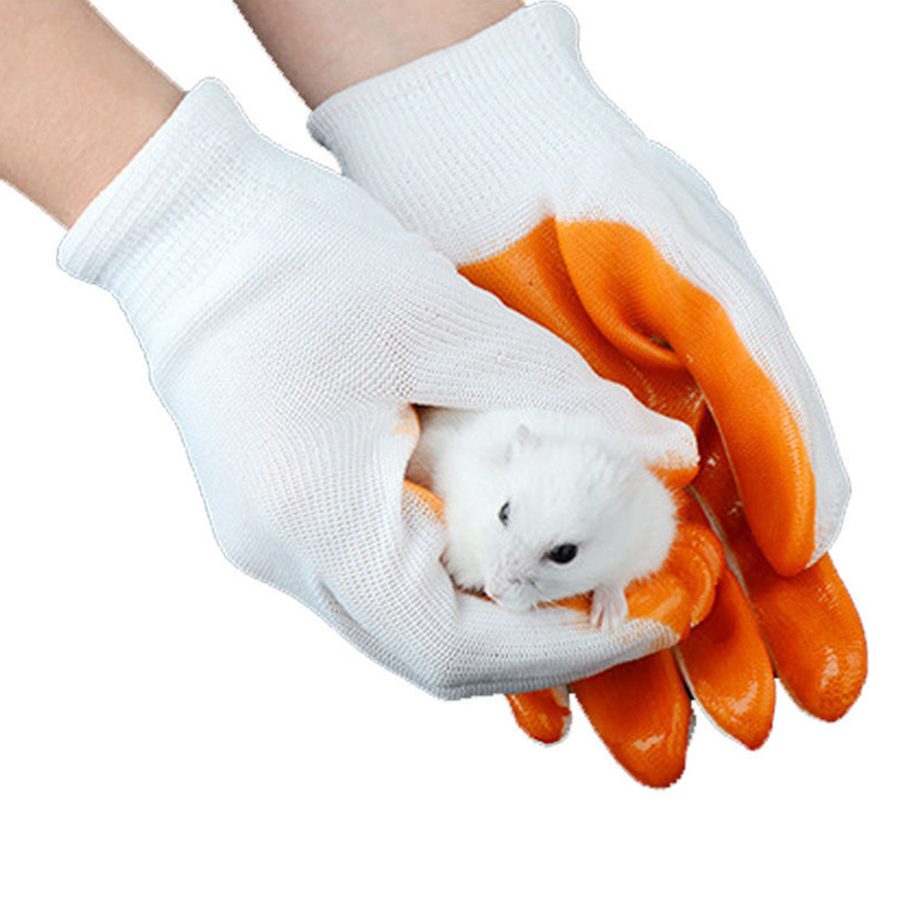 1 paire de gants anti-morsures - Cut Resistant Glove avis et prix